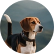 test3